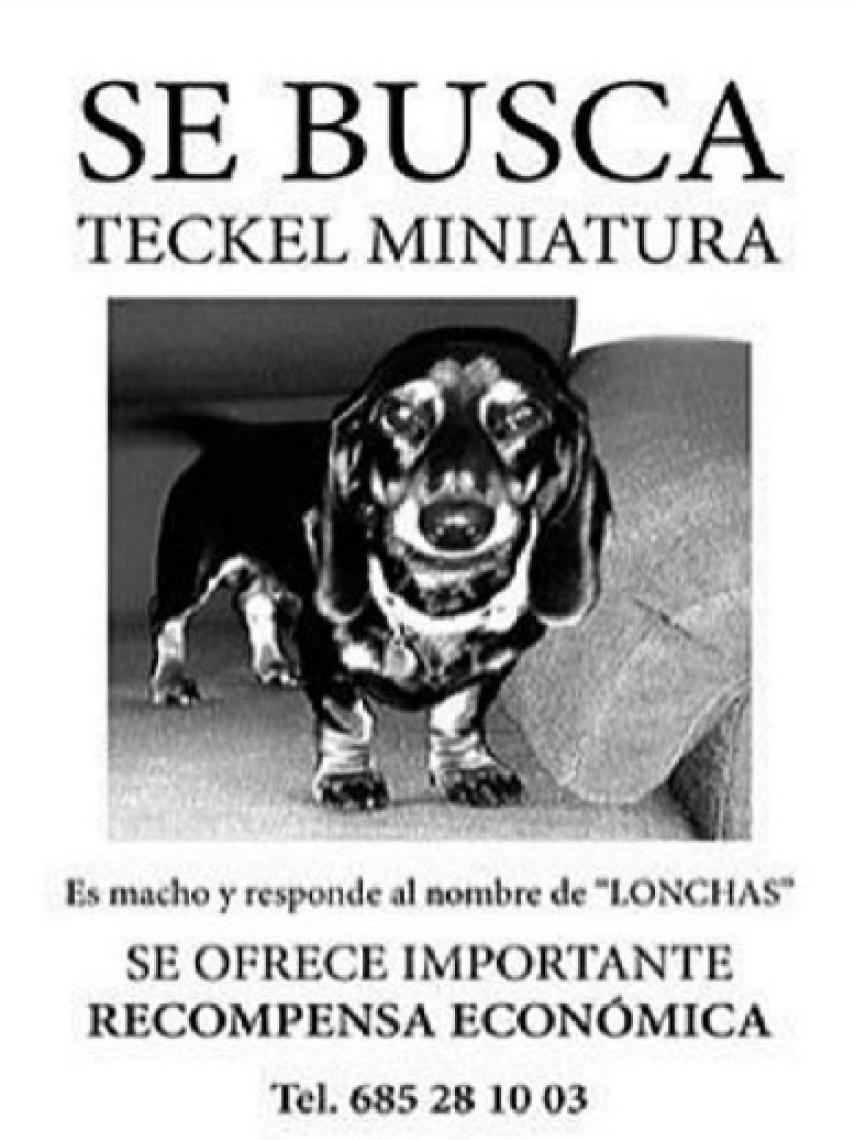 Cartel de la búsqueda