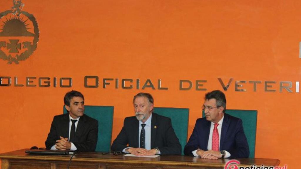 Foto Veterinarios