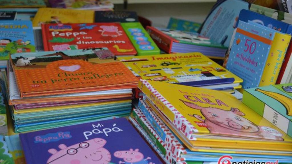 zamora feria del libro (10)