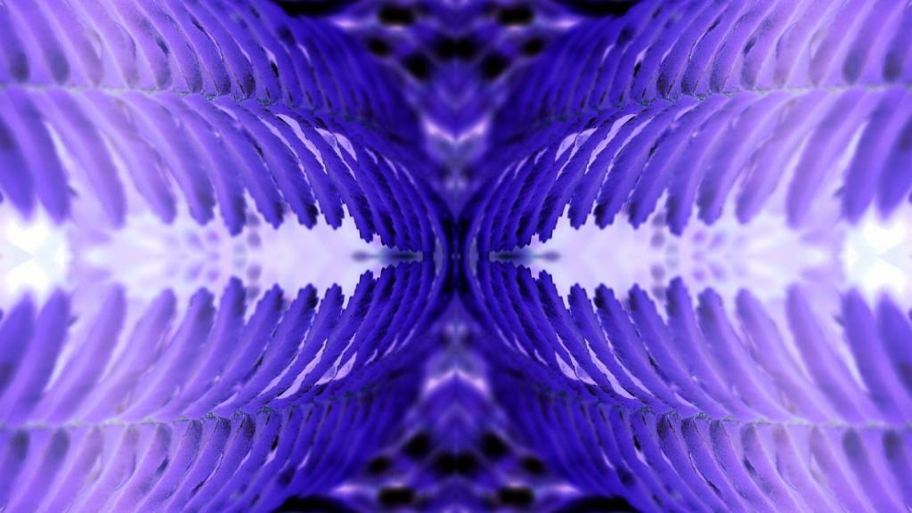 Círculos azules y violetas durante el orgasmo: eso es una experiencia sinestésica.