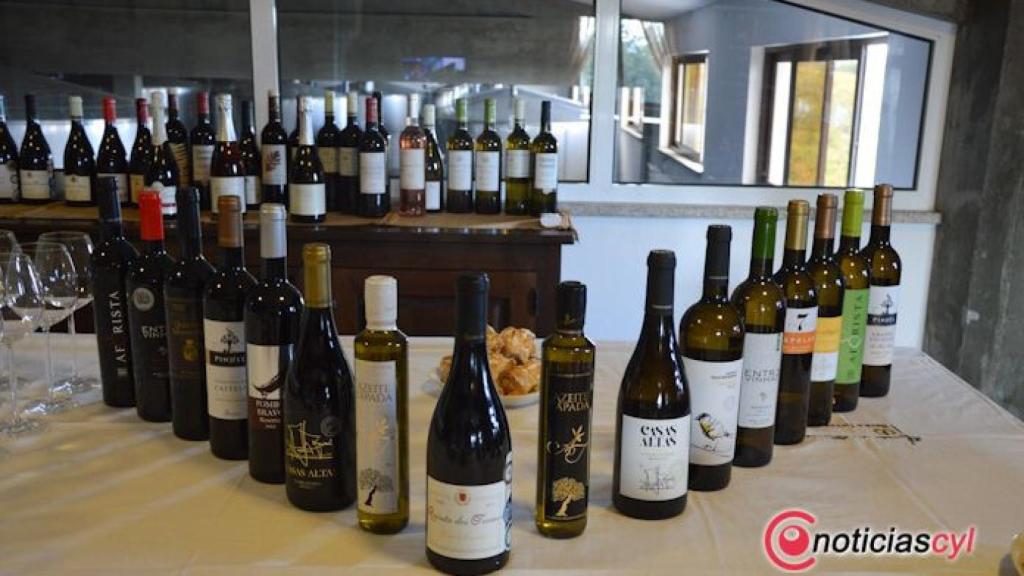 Vinos beira 2017 pinhel presentacion 5