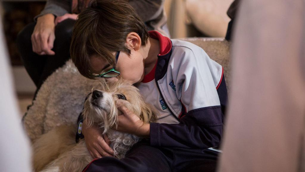 Nico besa a su fiel cómplice, Max.