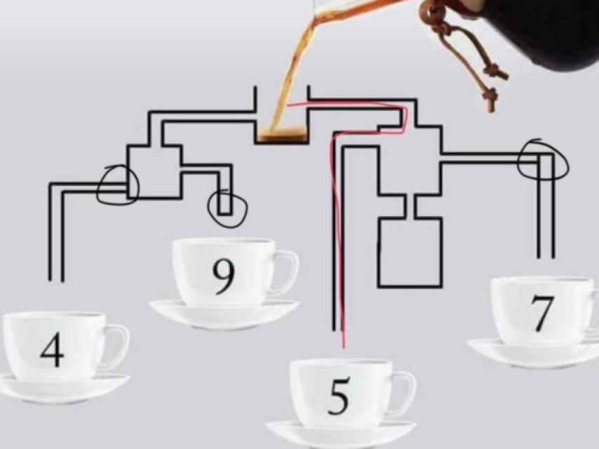 Los círculos marcan los conductos bloqueados