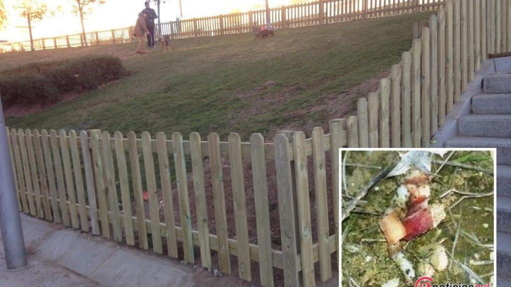 pipican plaza concordia