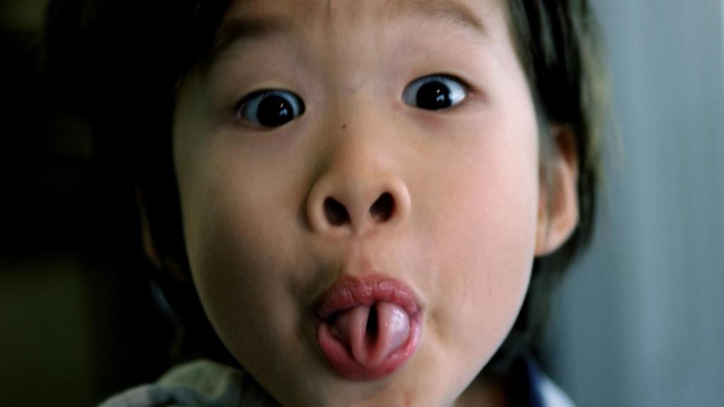 A la hora de enrollar la lengua, la genética no es determinante.