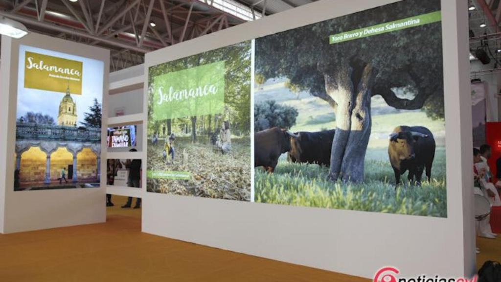 intur salamanca diputacion