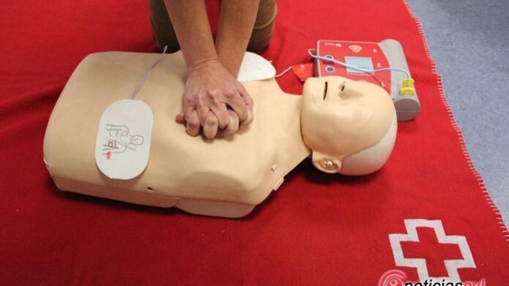 primeros auxililos cruz roja valladolid 1