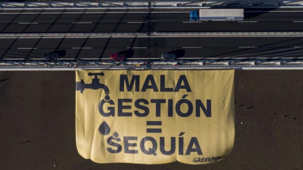 pancarta greenpeace pantano luna leon