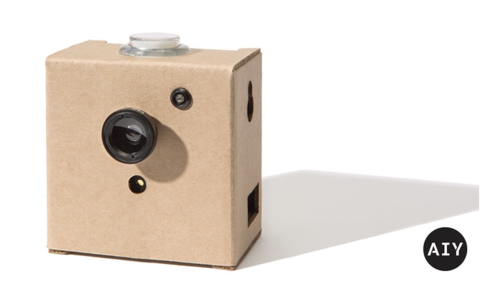 camara vision kit google