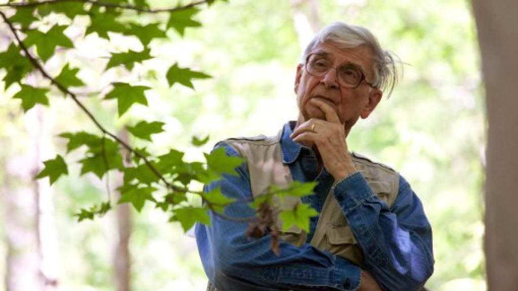 Image: Medio planeta. La lucha por las tierras salvajes en la era de la sexta extinción