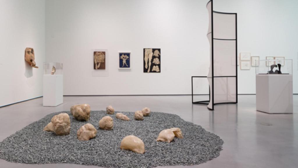 Image: El universo mórbido de Alina Szapocznikow