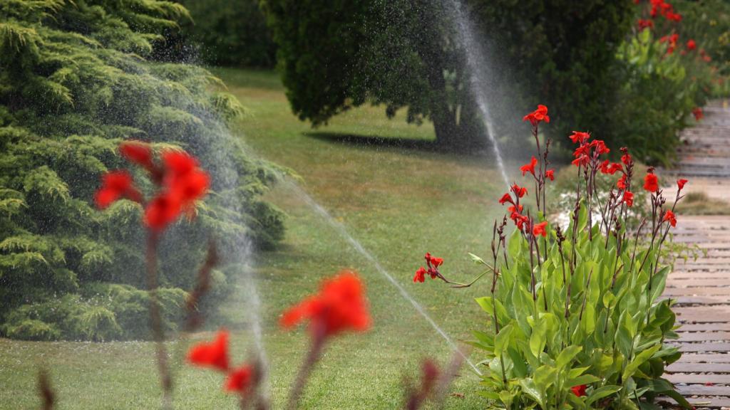 Entorno de una planta potabilizadora.