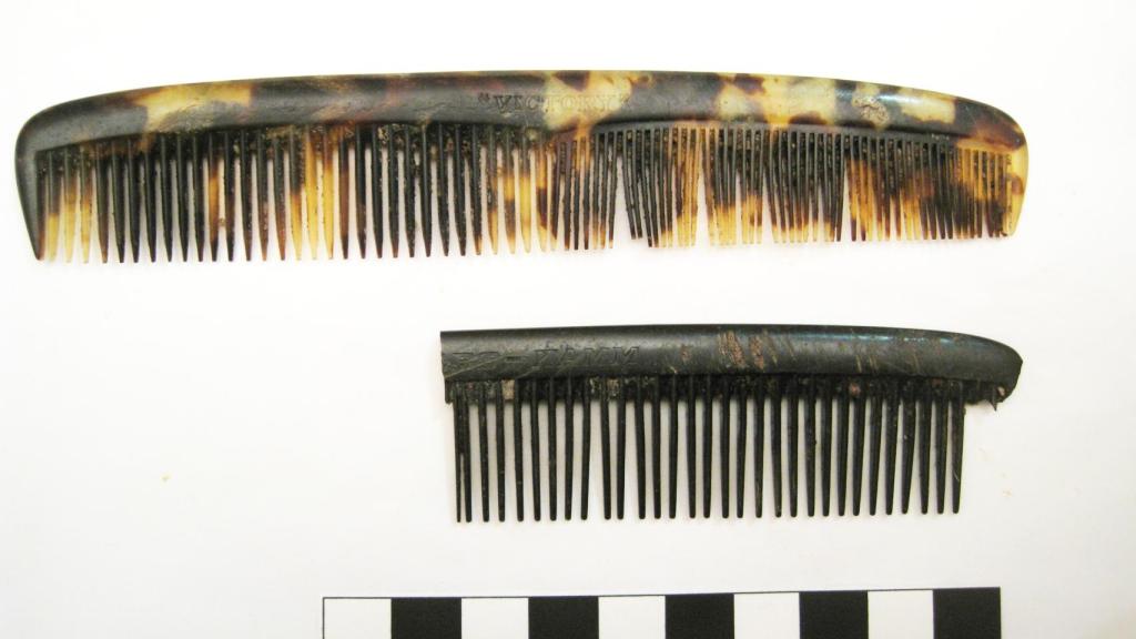 Un peine hallado por los arqueólogos.