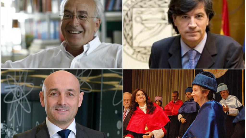 De arriba a abajo y de izquierda a derecha: Carlos Belmonte, Carlos López Otín, Lluís Torner y Margarita Salas