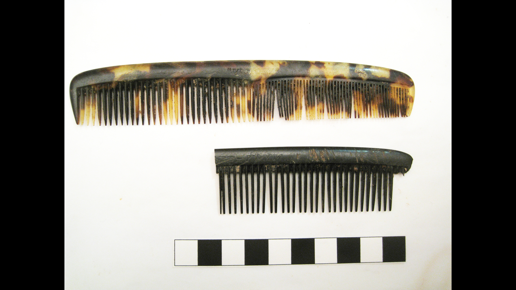 Restos de la vida cotidiana en el frente de la Guerra Civil