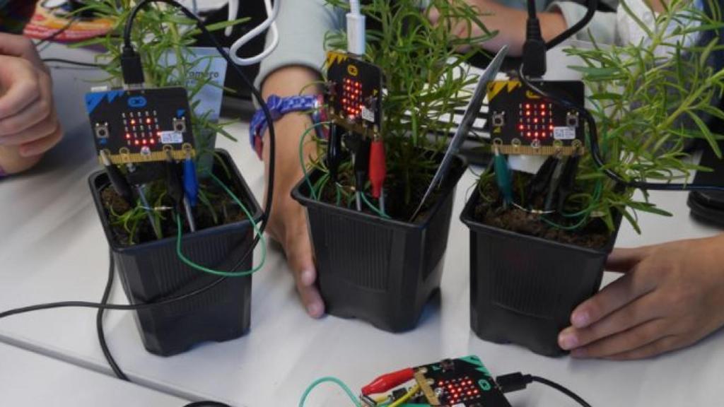 Imagen de Happy Plant de Conde Duque.