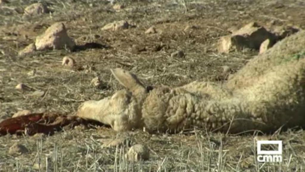 Captura de pantalla de CMM