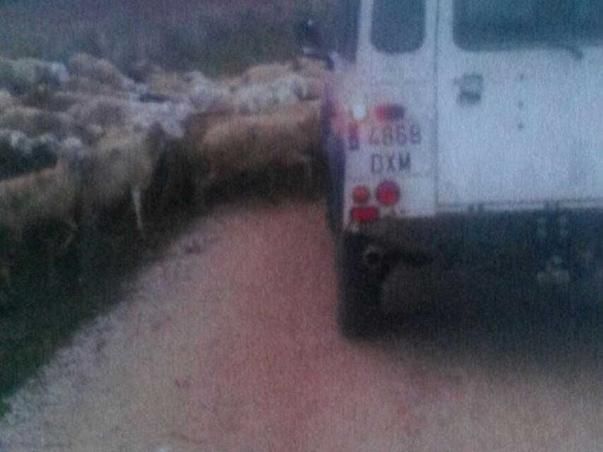 Imagen del atropello relatado por Maatouf.