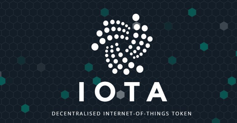 iota miota criptomoneda