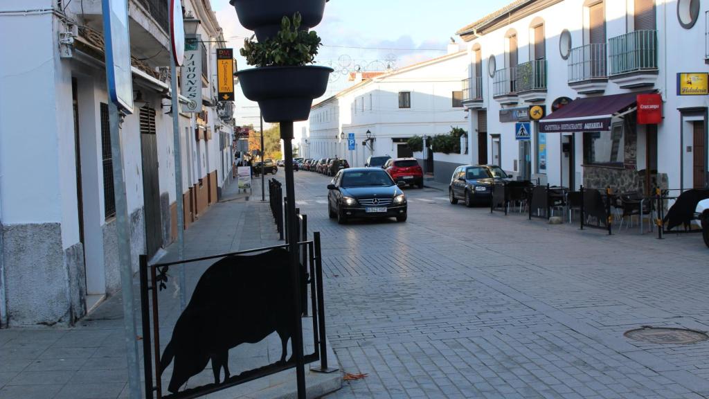 El pueblo de Jabugo mantiene una relación casi sagrada con el cerdo. Está presente en cualquier elemento urbano, como en las vallas.