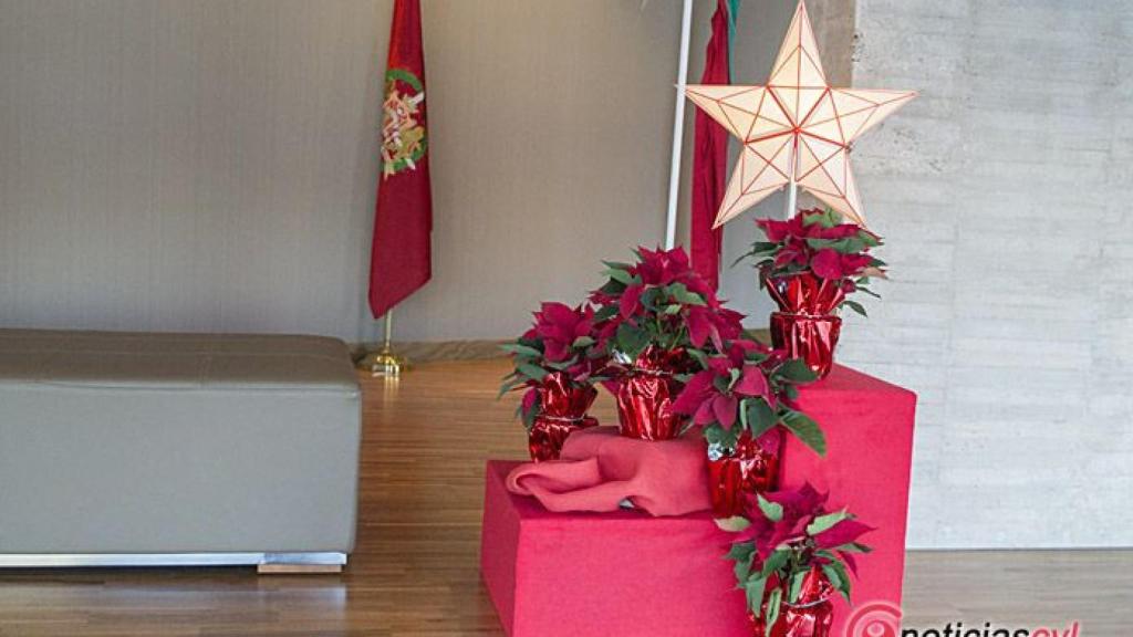 Regional-pleno-cortes-navidad