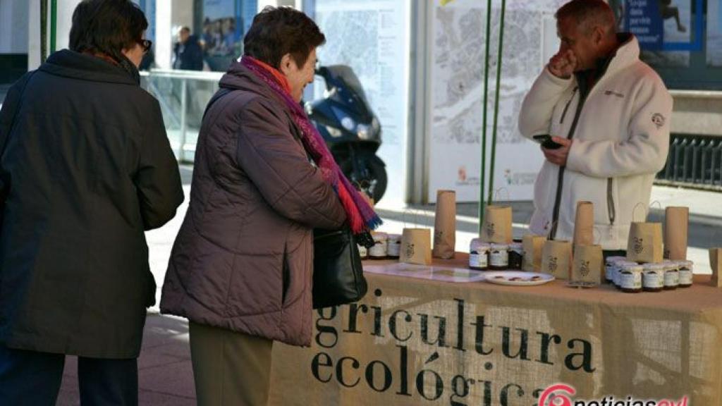 Zamora mercado ecologico