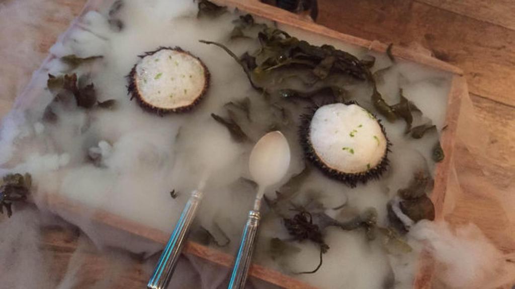 Uno de los entrantes de DSTaGE.