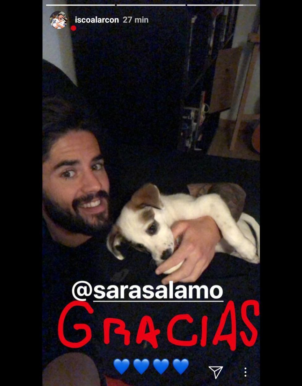 Isco perro Sara Sálamo