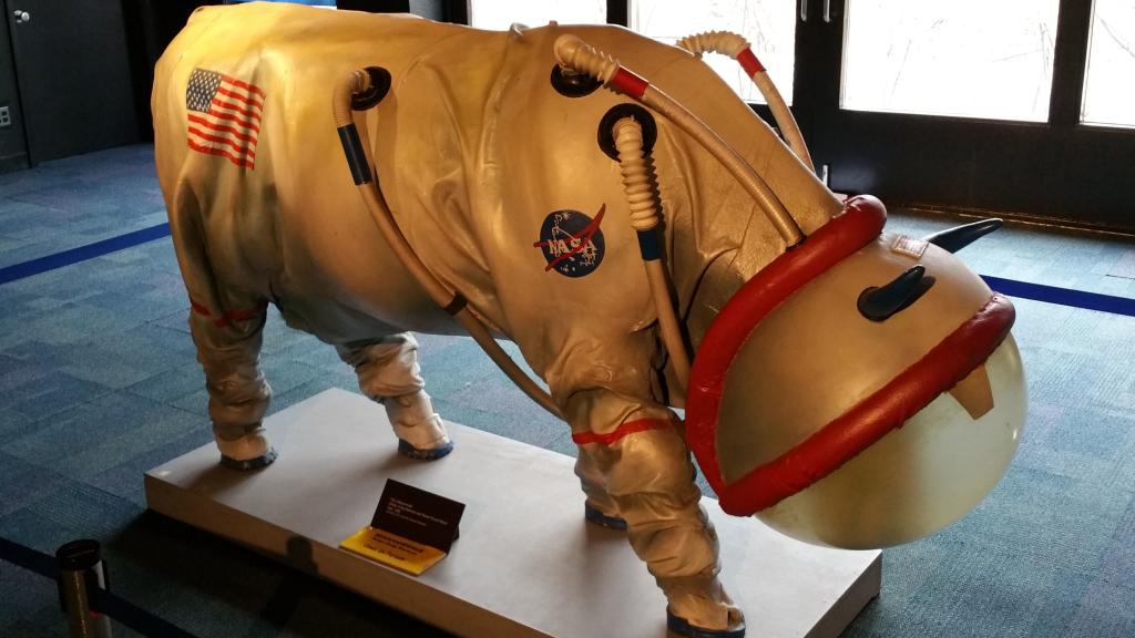 El casco ofrece visibilidad óptima para mirar pasar los transbordadores.