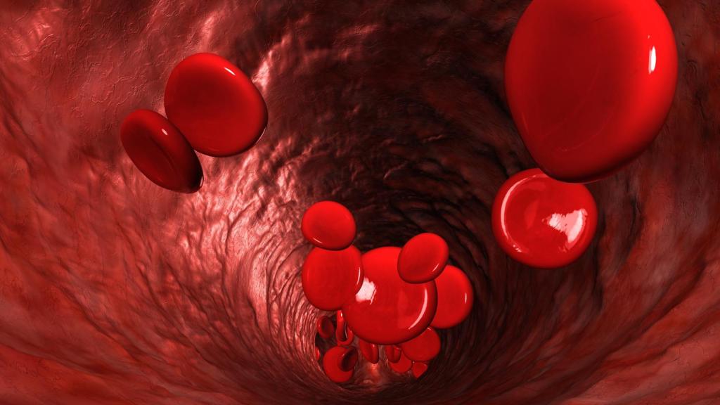 Recreación del interior de un vaso sanguíneo.