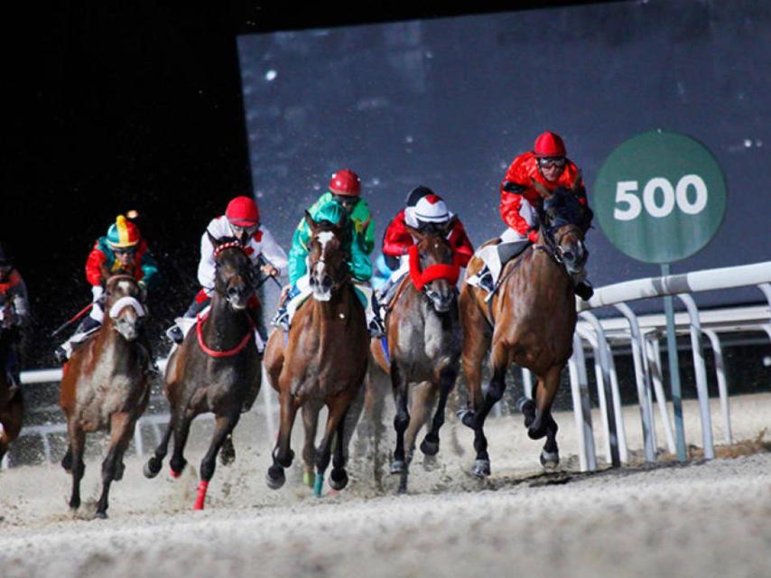 Carrera nocturna en el Hipódromo de la Zarzuela.