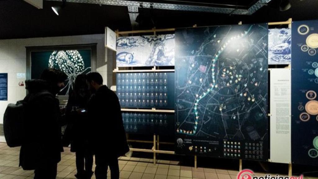 exposicion abisal pasaje valladolid 1