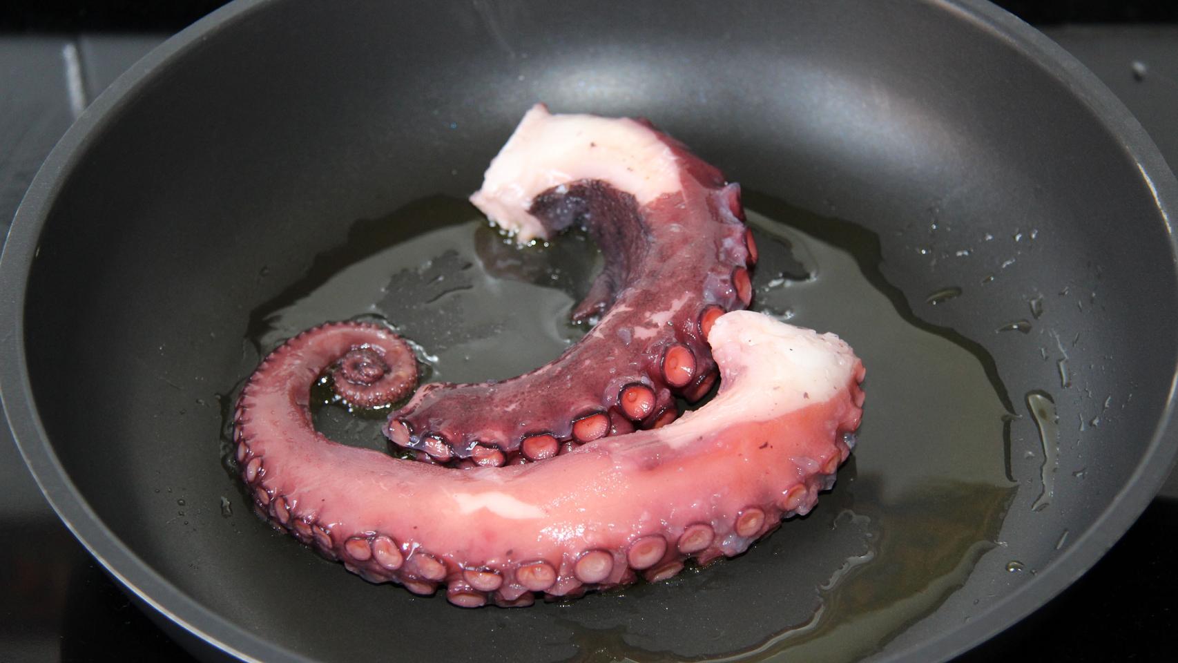 CHUPITOS DE PULPO A LA PLANCHA CON EMULSION DE PATATA ACEITE DE PIMENTON TMX 07