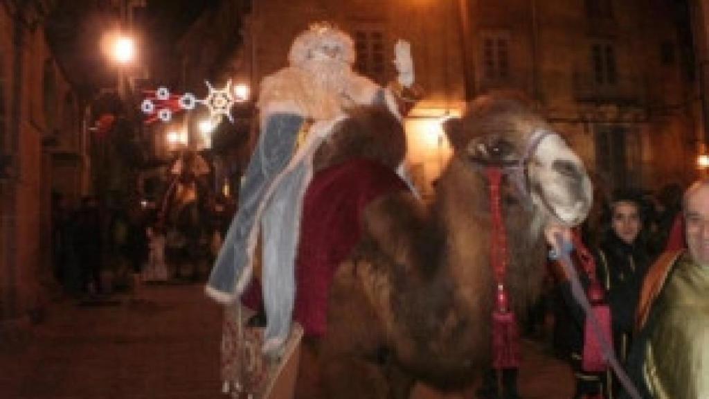 animales bejar cabalgata