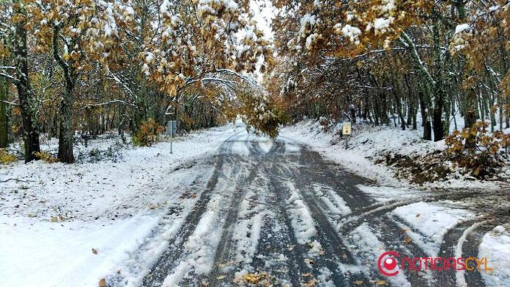 zamora-nieve-sanabria-2