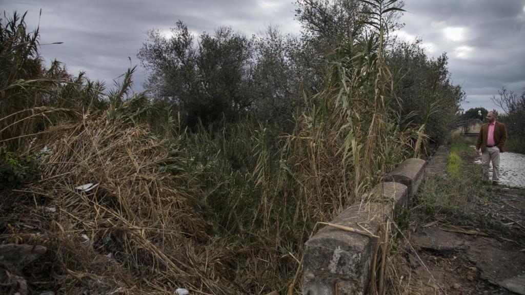 El pasado verano Antonio del Castillo recibió una llamada diciendo que el hermano de Miguel Carcaño trabajó en una finca muy próxima a esta zona barrancosa y de espesa vegetación situada en la carretera de La Rinconada, donde ya se había buscado los restos de la menor.