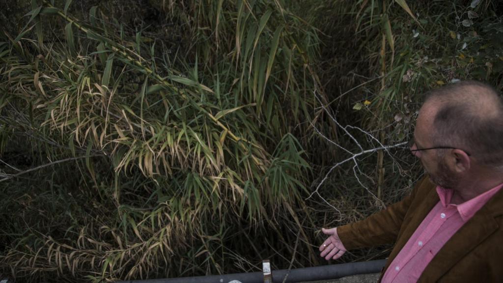 El barranco tiene una altura que ronda los 20 metros.