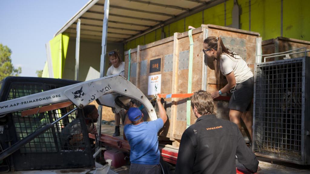 Rescate del Circo Wonderland.