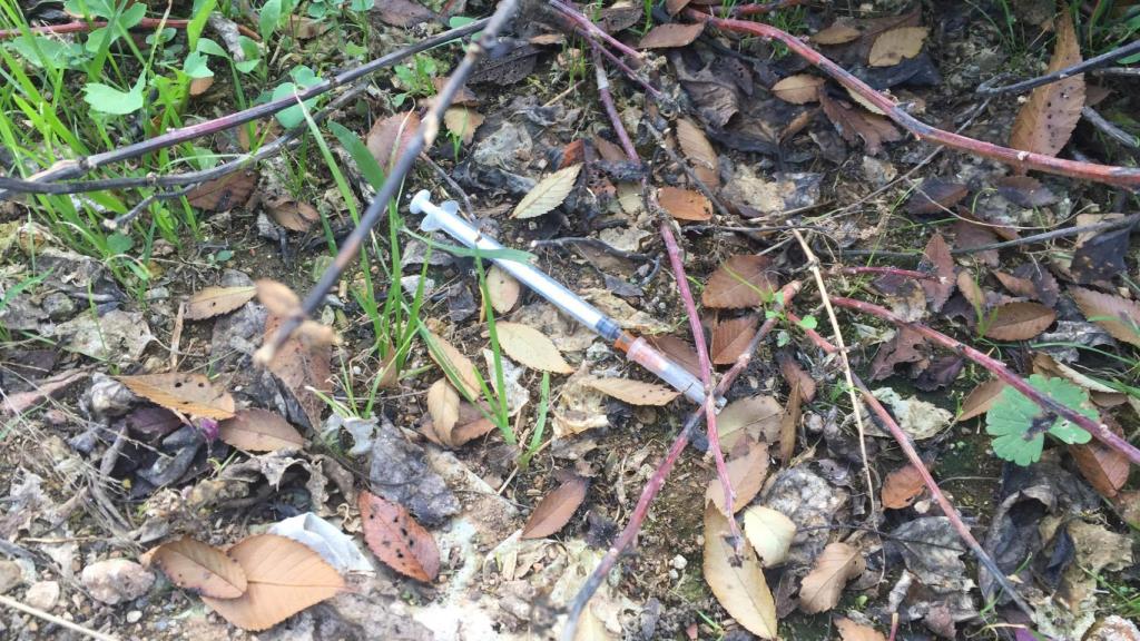 Jeringuilla tirada en el entorno de la vía del tren, en La Mina (Sant Adrià del Besòs)