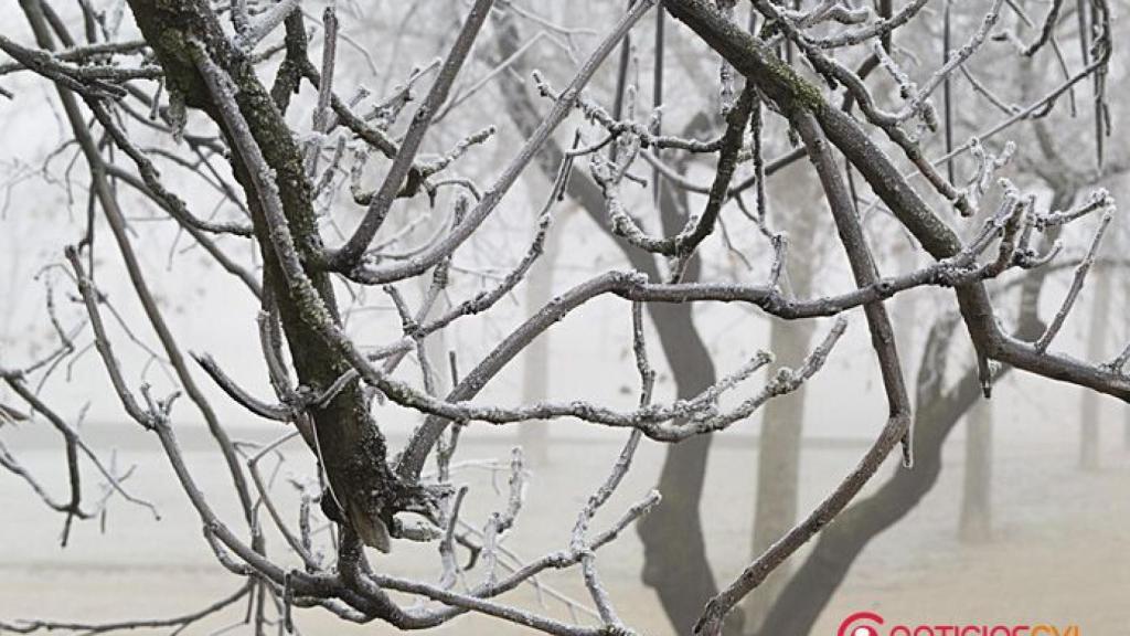 valladolid-frio-invierno-navidad-11