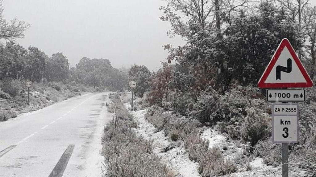Zamora nieve 19
