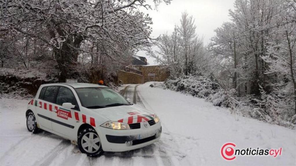 Zamora nieve 20