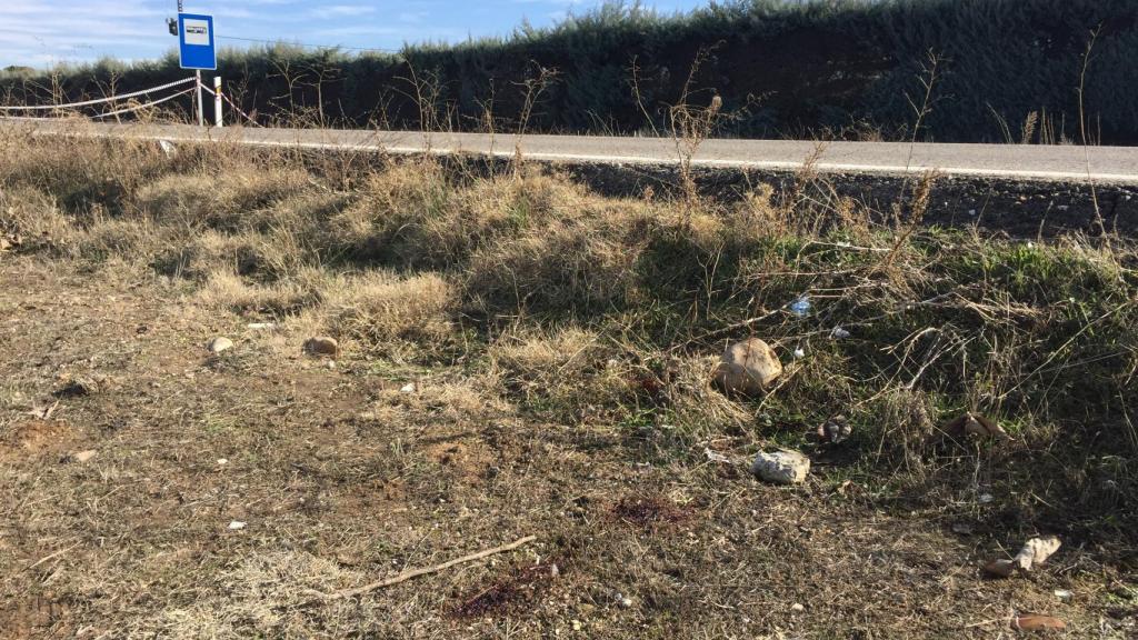 Este es el lugar donde un conductor encontró a Alejandra.