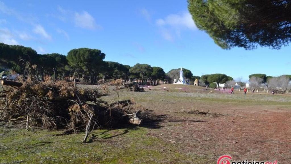 pinguinos valladolid hipica motos enero 2018 12