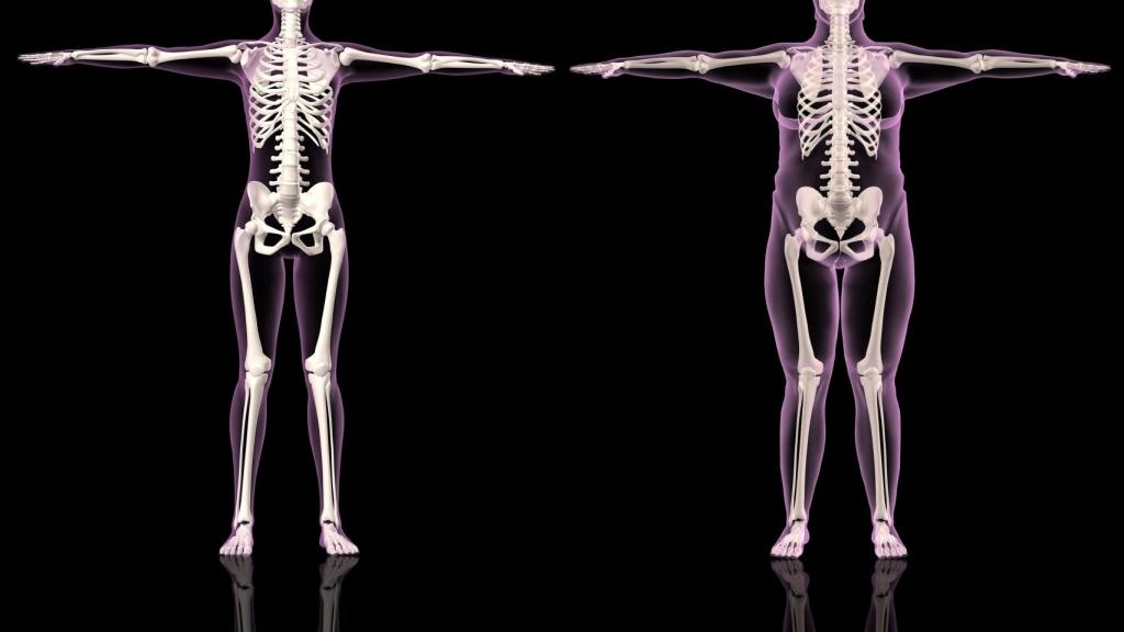 Obesidad o normopeso, la gran diferencia.