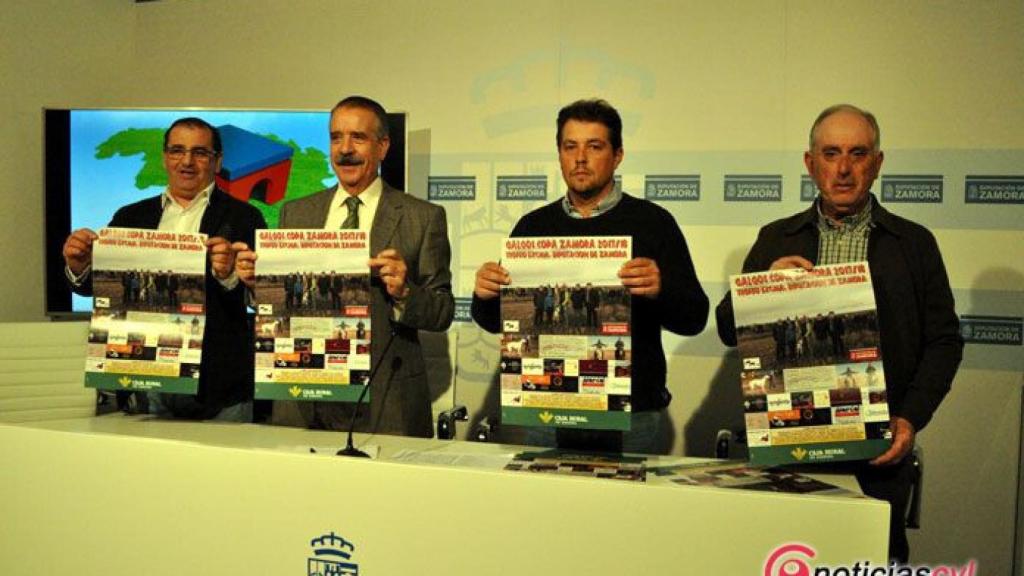 zamora diputacion galgos