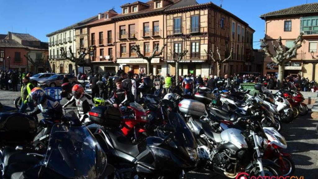 zamora toro motauros (23)