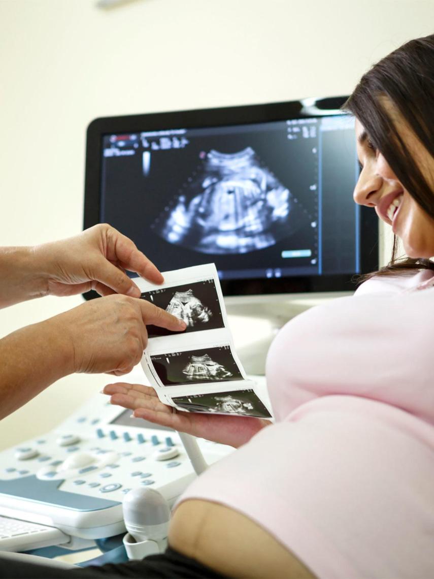 España es líder en reproducción asistida.