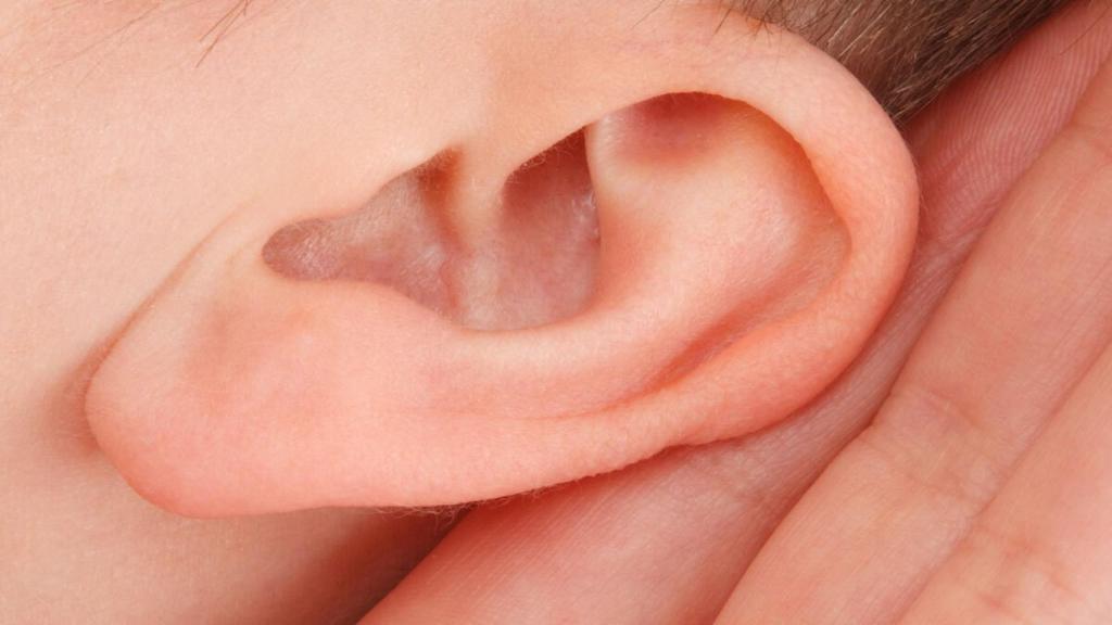 oido-oreja-hombre