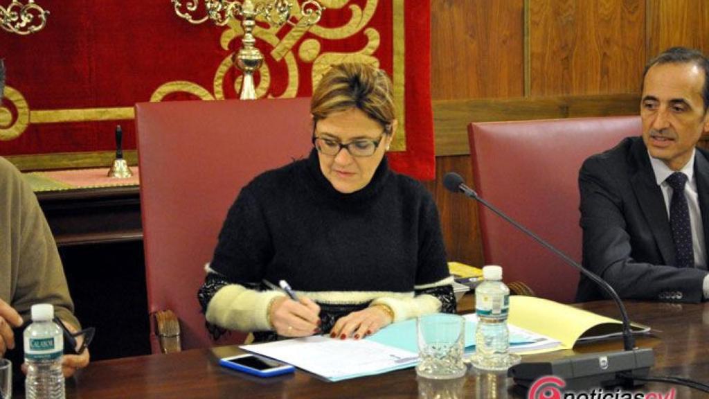 zamora diputacon mayte pleno